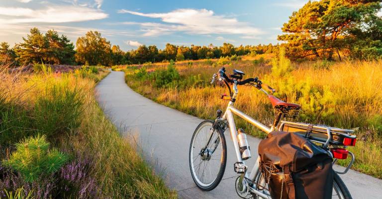 Een fiets dat op een fietspad staat tussen de heide en bossen